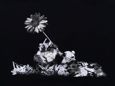 VDS 「戦争と平和」Tシャツ スペシャルVerをリリース！
